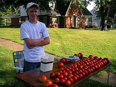 A kid selling tomatoes in his front yard