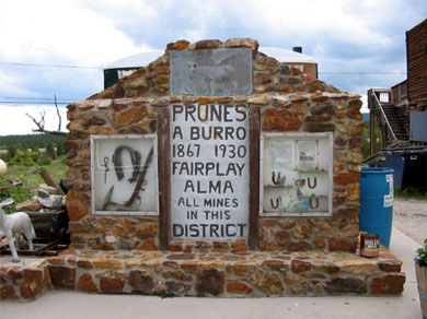 The tribute to a legendary burro, Prunes