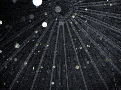 Inside an empty grain silo