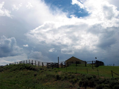 A farm on a hill. Complete with raven in flight