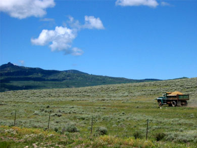 A truck in a field in North Park