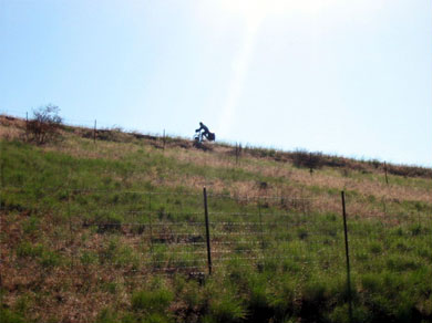 Mickey climbing the old highway out of White Bird