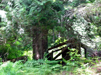 The home of an early settler