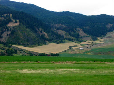 A large farm in the hills
