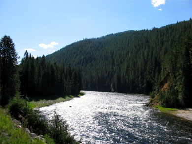 The Bitterroot River