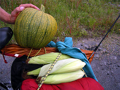 The fresh produce we gathered