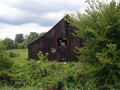 A barn converted into a distillery, then abandoned