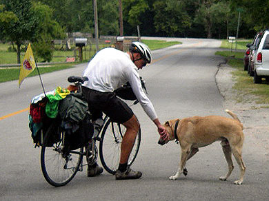 Shannon taming a local dog at a schoolyard