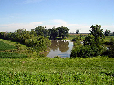 Another pond