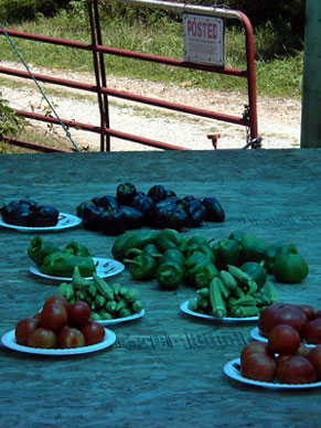Fresh vegetables at a stand on the side of the road