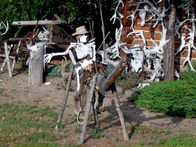 A really old cowboy