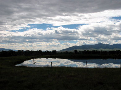 A highly reflective pond