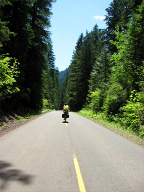 Steve in McKenzie River forest
