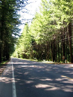 The road to Blue River