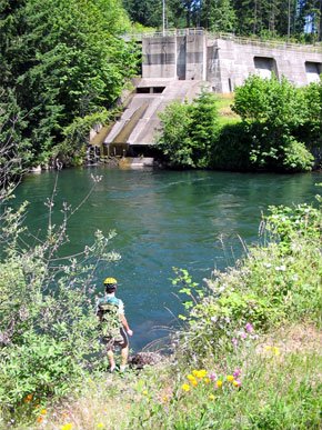 Mickey at a dam