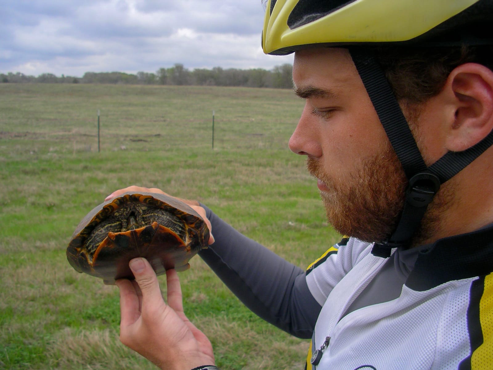 Mickey inspecting a turtle
