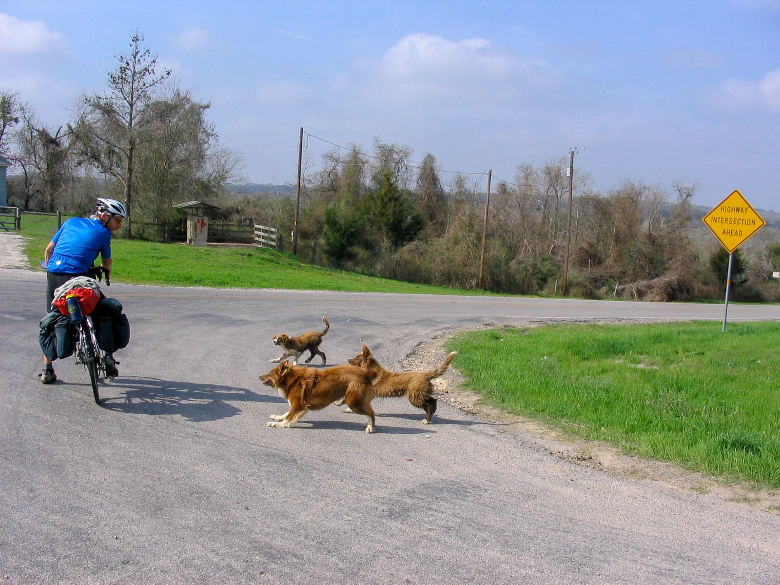 Steve fending off the guard dogs