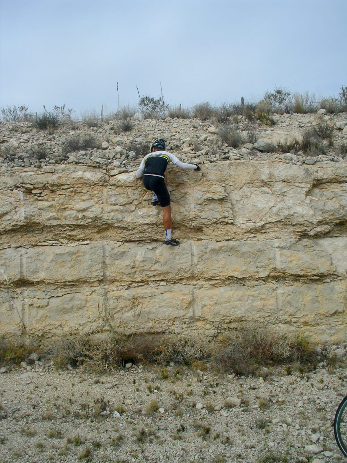 Mickey on a cliff