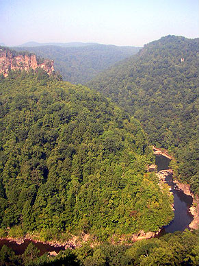 A lookout point over a deep forest valley
