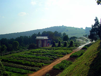 Jefferson’s garden at Monticello
